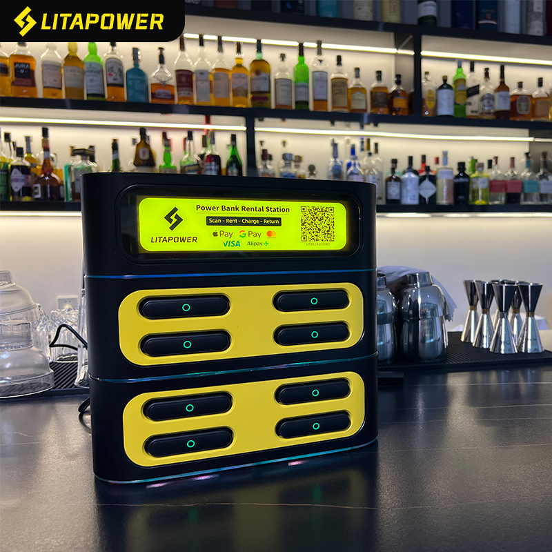 Analysis of the Lithuanian Portable Charger Market: Emerging Opportunities Driven by Digitalization